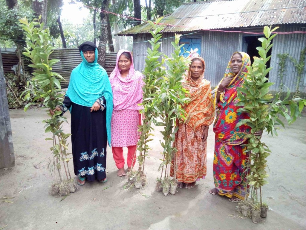 Planting Trees